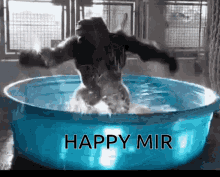 Happy Mir Monkey GIF