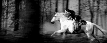 Gooooo GIF - Horse Horses Equine GIFs