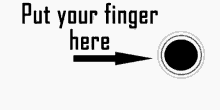 Put Your Finger Here Cute GIF - Put Your Finger Here Cute Dog GIFs