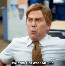 How Could You GIF - Charles Boyle Why Did You Wake Me Up B99 GIFs