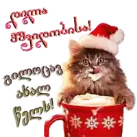a cat wearing a santa hat sits in a cup