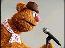 a teddy bear wearing a hat and a scarf is standing in front of a microphone
