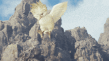 a white bird is flying over a rocky hillside