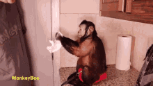 tear monkeyboo kitchen towel capuchin monkey monkey