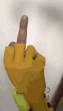 Fuck You Middle Finger GIF - Fuck You Middle Finger Fu GIFs