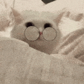 a white cat with glasses on its eyes laying on a bed
