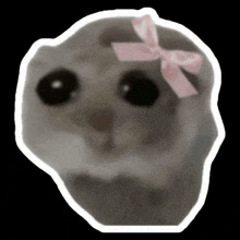 a cat with a pink bow on its head .