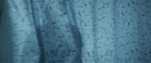 a person standing behind a blue curtain with a pattern of leaves on it