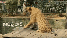 namasthe sir respect gif animals tiger