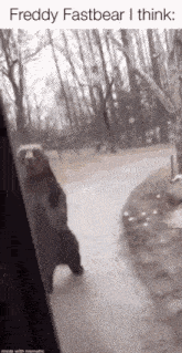 a freddy fast bear is walking down a sidewalk in front of a house .
