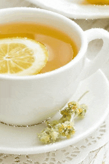 чашка чая долька лимона GIF - чашка чая долька лимона GIFs