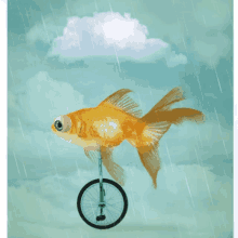 Goldfish Unicycle GIF - Goldfish Unicycle Cycle GIFs