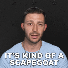 It'S Kind Of A Scapegoat Jay Mitchell GIF - It'S Kind Of A Scapegoat Jay Mitchell The Challenge All Stars GIFs
