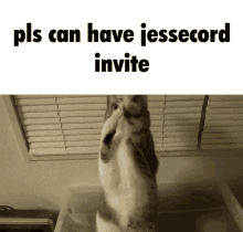 Invite Jessecord GIF - Invite Jessecord Jesse GIFs