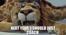 The Wild Movie Samson GIF - The Wild Movie Samson Next Year I Should Just Coach GIFs