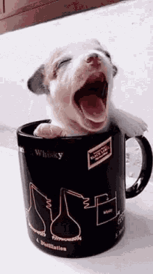 Puppy Cup GIF - Puppy Cup Yawn GIFs