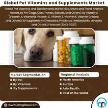 Pet Vitamins And Supplements Market GIF