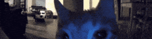 a blurry picture of a blue cat 's face with a blurry background