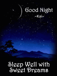 Good Night Kai Sleep Well Kai GIF - Good Night Kai Sleep Well Kai Sweet Dreams Kai GIFs
