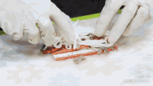 a person is making a sandwich with noodles carrots and meat with the words made in animatica visible in the corner
