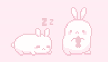 cute bunnies pink animal sleep
