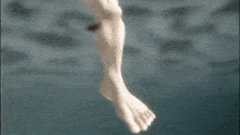 a person is swimming underwater in a pool with a shark in the background .
