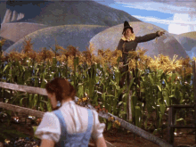 Which Way Scarecrow GIF - Which Way Scarecrow Dorothy GIFs