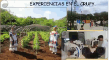 Agroforestal08 Pictures GIF - Agroforestal08 Pictures Farming GIFs