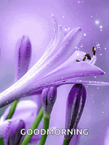 Purple Flower GIF - Purple Flower Glitter GIFs