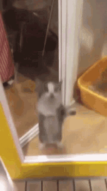GIF