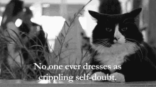 cat no one dresses self doubt crippling doubt dresses