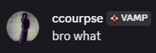 a blurred image of a person with the words ccourpse vamp bro what