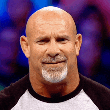a bald man with a beard wearing a grey shirt