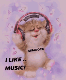 asiarock i like music cute cat pet