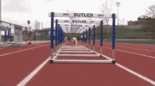 Butler Bull Dog GIF - Dog Running Run GIFs