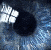 a close up of a blue eye with a window shadow