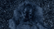 Van Helsing Werewolf GIF