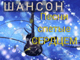 a blue background with a guitar and the words " шансон песни спетые сердцем "