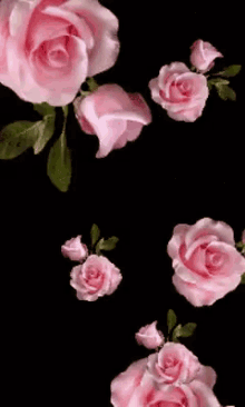 Marselo Rose GIF - Marselo Rose GIFs