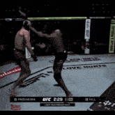 two men are fighting in a ufc ring with a budweiser sign in the background