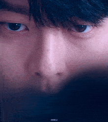 a close up of a man 's eyes with the name anneja written on the bottom