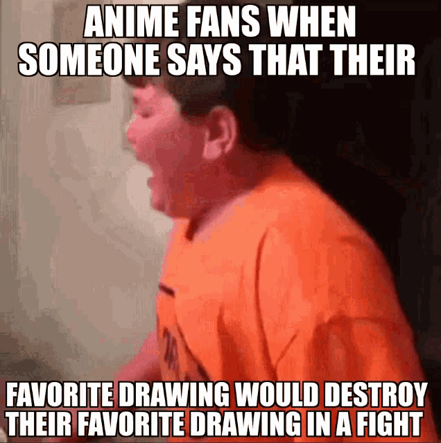 Anime fans be like  rmemes