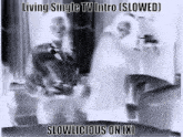 a black and white photo of two people with the caption living single tv intro slowed slowlicious on x