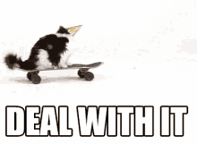 Skateboard Cat GIF - Dealwithit Cat Skateboard GIFs