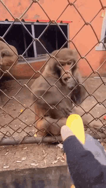 CUANDO SOLO HAY NEGROS EN una CIUDAD HUMANA