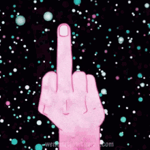Middle Finger GIF - Middle Finger The GIFs