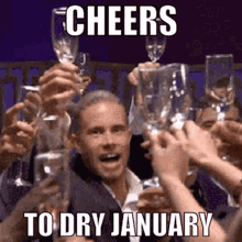 Dry January Cheers GIF - Dry January Cheers Sober GIFs