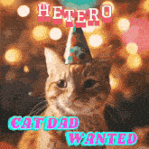 a cat wearing a party hat with the words hetero cat dad wanted above it