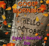 Good Morning October GIF - Good Morning October GIFs