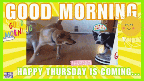 happy thursday images with dogs